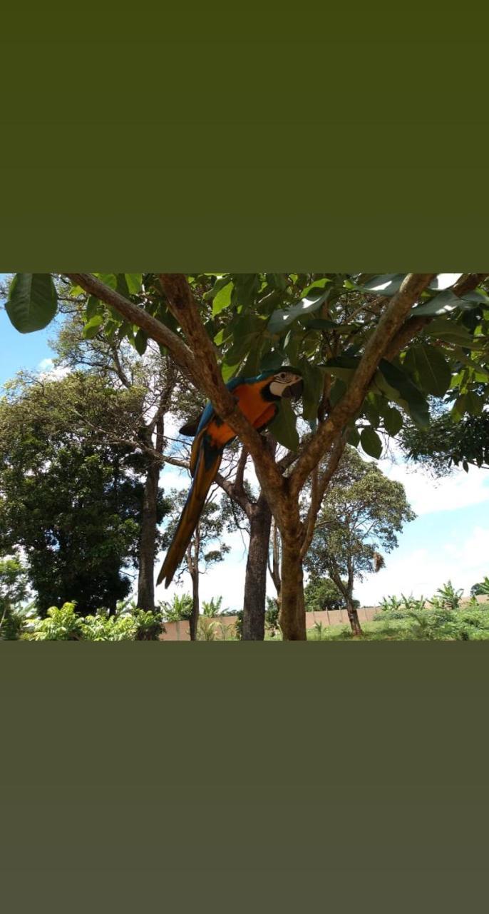 Pousada Cafe Da Roca Campos Gerais 외부 사진