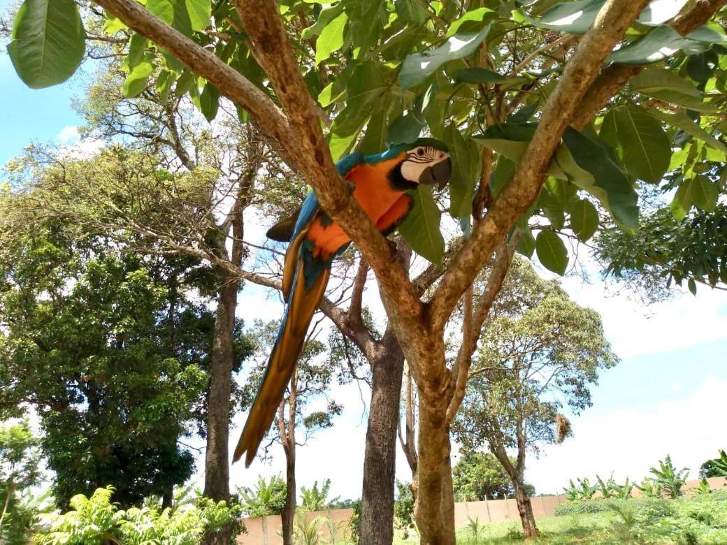 Pousada Cafe Da Roca Campos Gerais 외부 사진